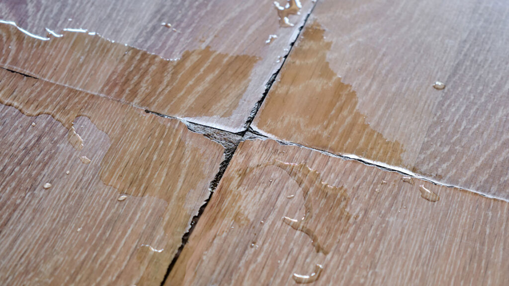 Water Damage in Denver, Colorado