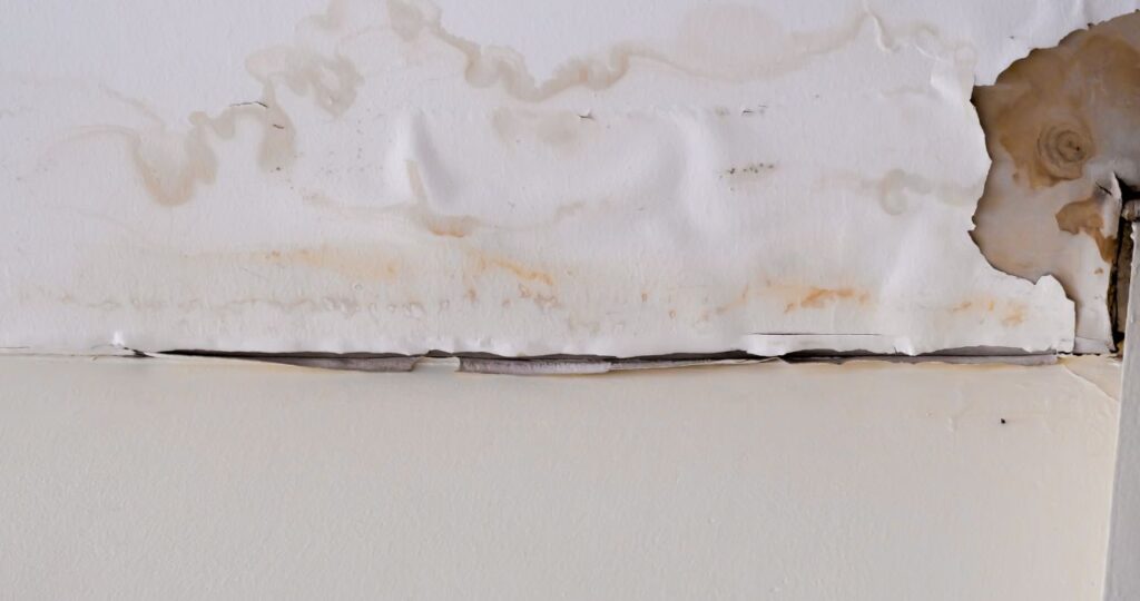 Emergency Water Damage Services: What to Expect?