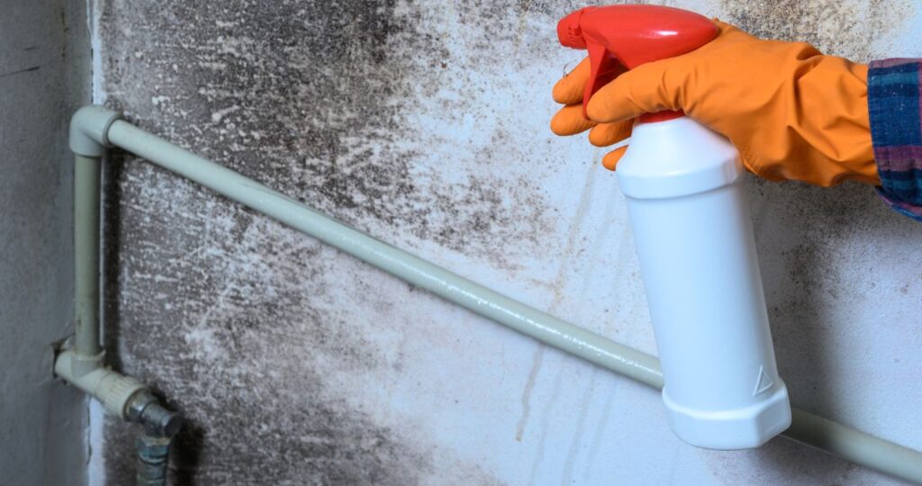 Long Term Effect of Water Damage To Your Home