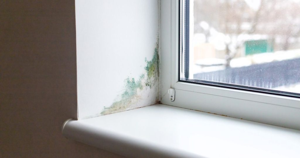 Mold Exposure: Symptoms and Health Side Effects