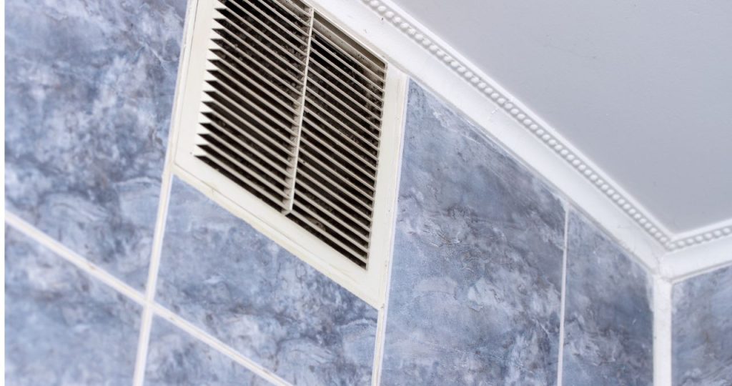 How to Prevent Mold Growth in Your Home: Expert Tips for a Healthier Space