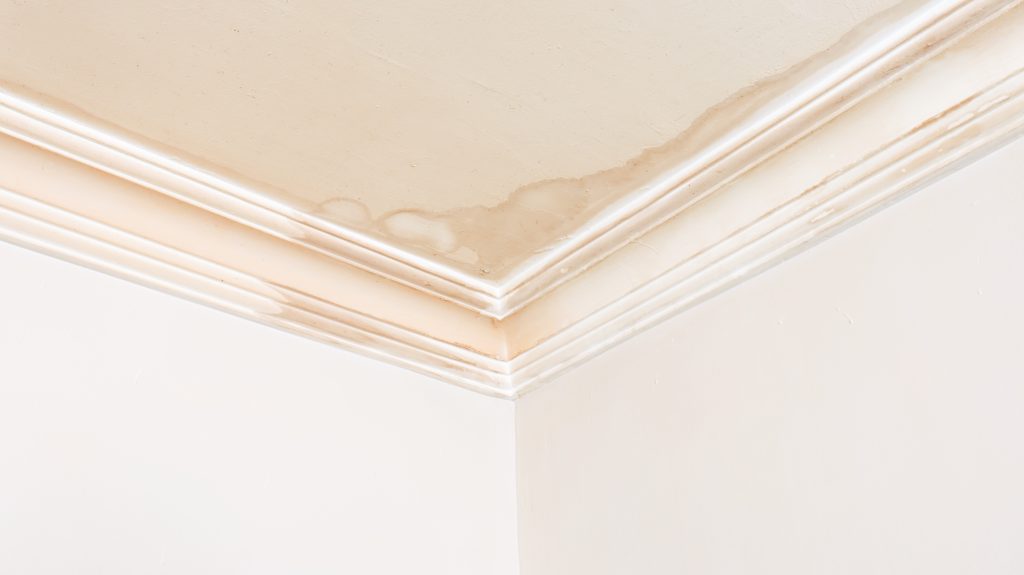 Home Maintenance Tips to Prevent Water Damage