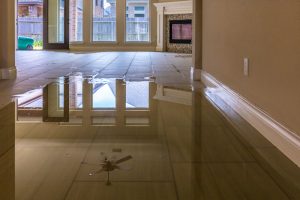 What To Do Immediately After a Flood: Step-by-Step Guide for Denver Residents