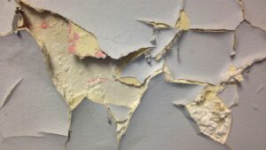 Why DIY Asbestos or Lead Paint Removal Can Be Dangerous and Illegal