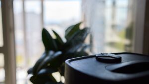 Preventing Mold Growth: Humidity Control Strategies for Healthy Indoor Environments