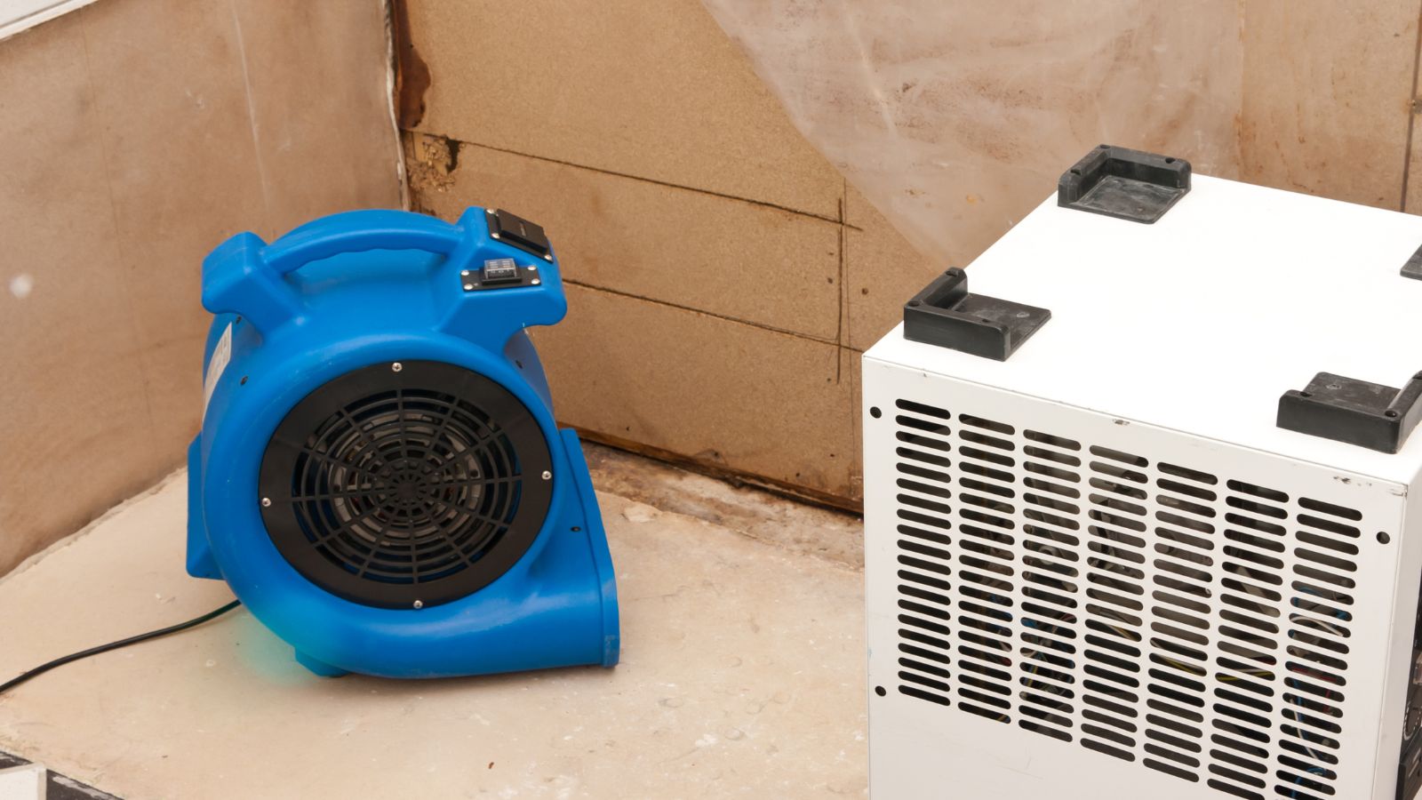 Colorado Cleanup Services