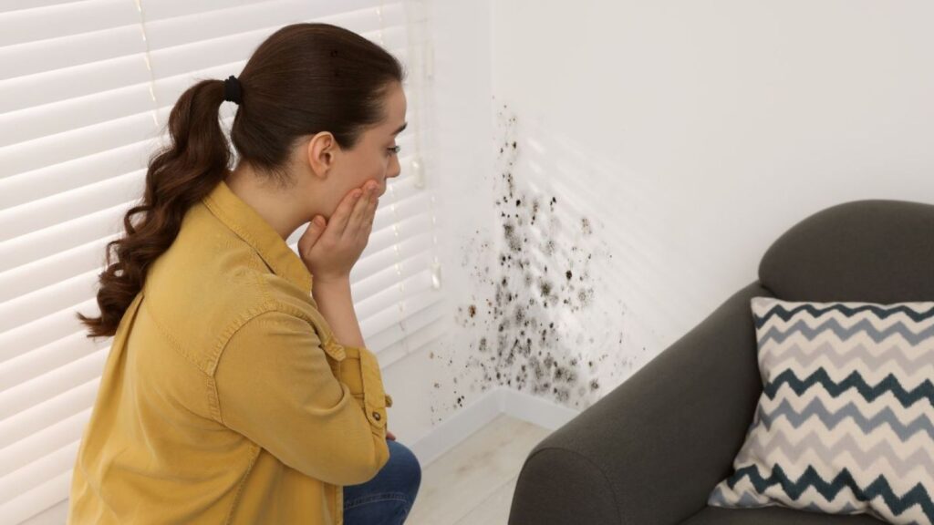 How Quickly Can Mold Grow After Water Damage?