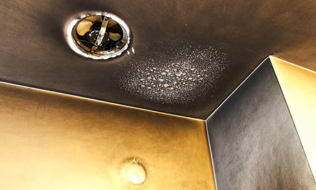 Fire & Smoke Cleanup