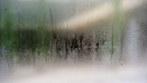 Is Summer Humidity Secretly Causing Mold in Your Colorado Home?
