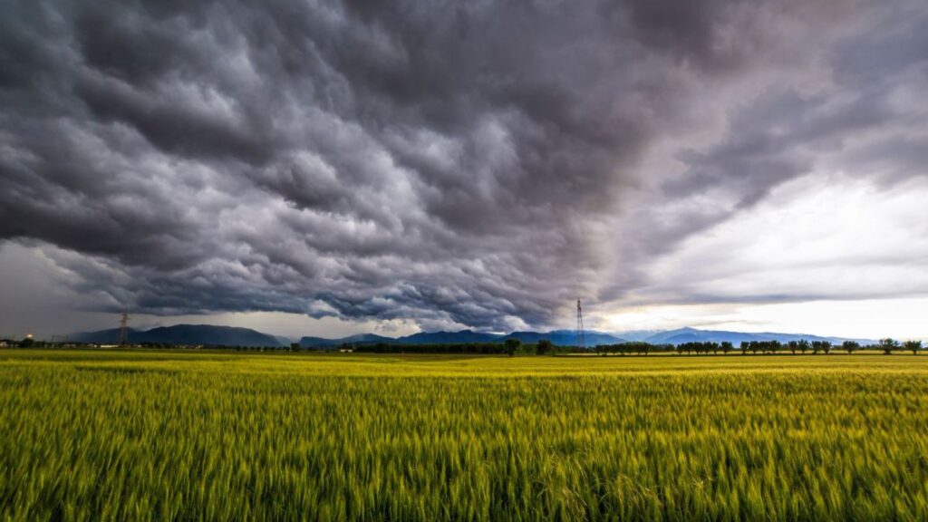 Is Your Colorado Home Ready for Summer Storms? Top Ways to Prevent Water Damage Before the Next Downpour