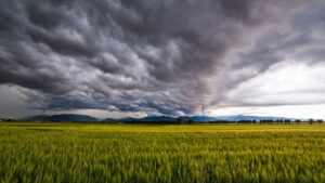 Is Your Colorado Home Ready for Summer Storms? Top Ways to Prevent Water Damage Before the Next Downpour