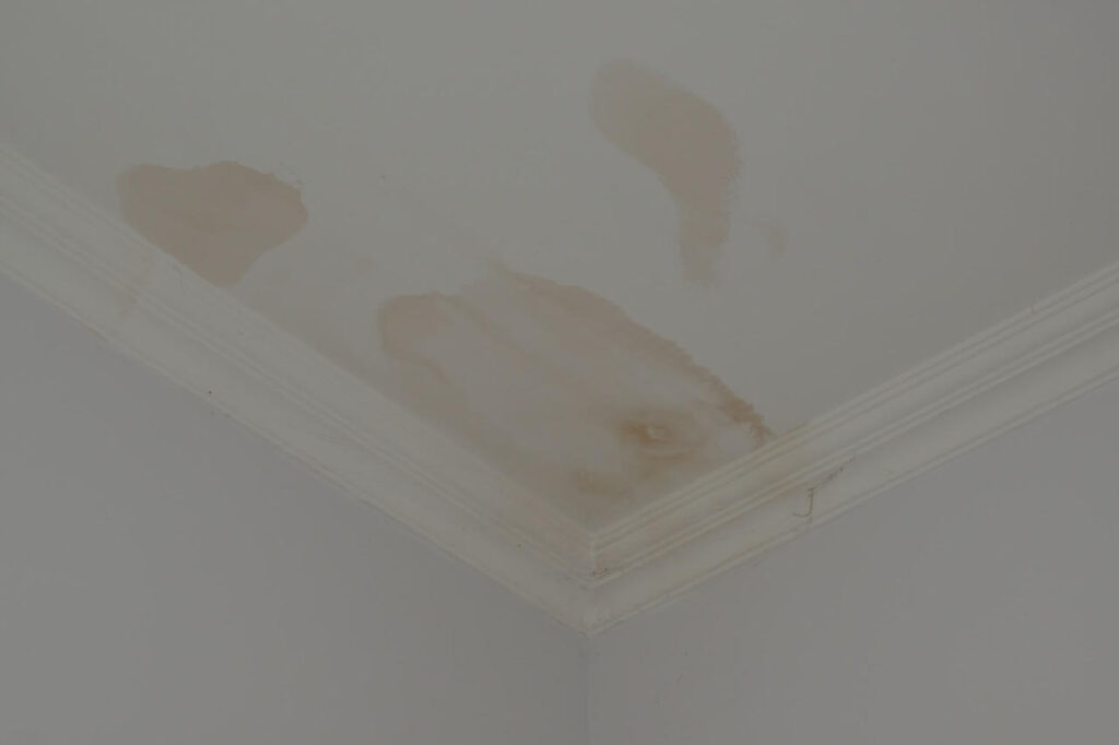 Signs of Burst Pipe Water Damage
