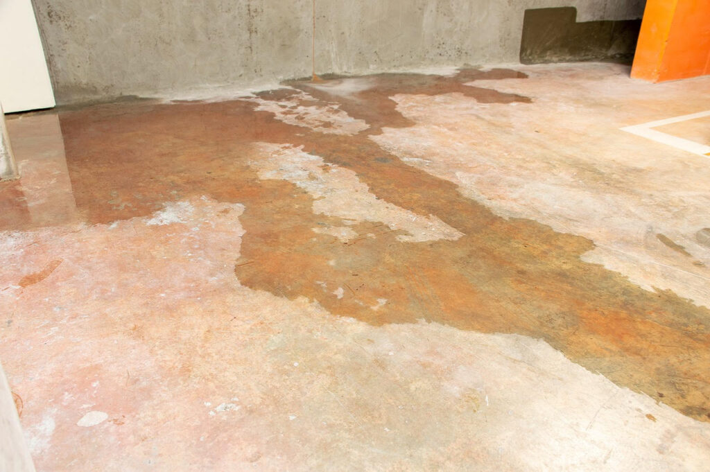 Signs of Basement Water Damage