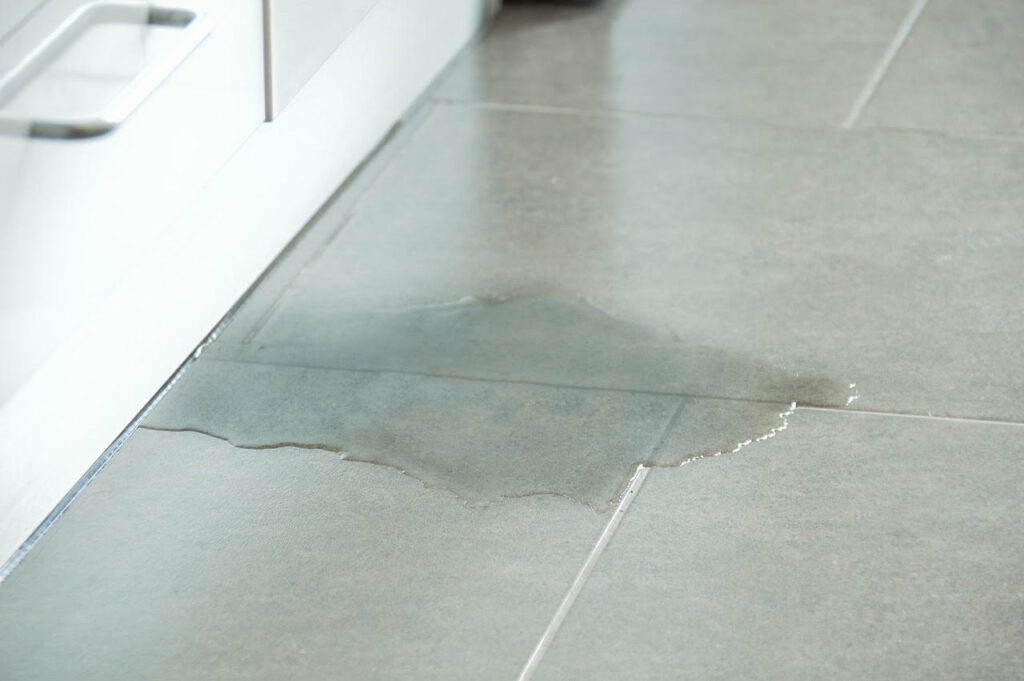 Signs of Hidden Appliance Leak Damage